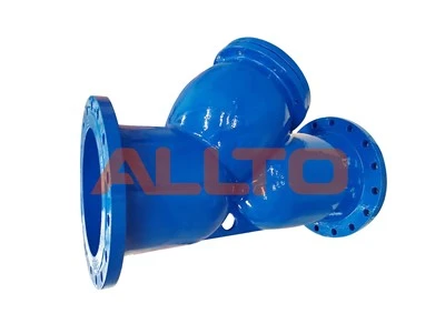 Y Type Strainer